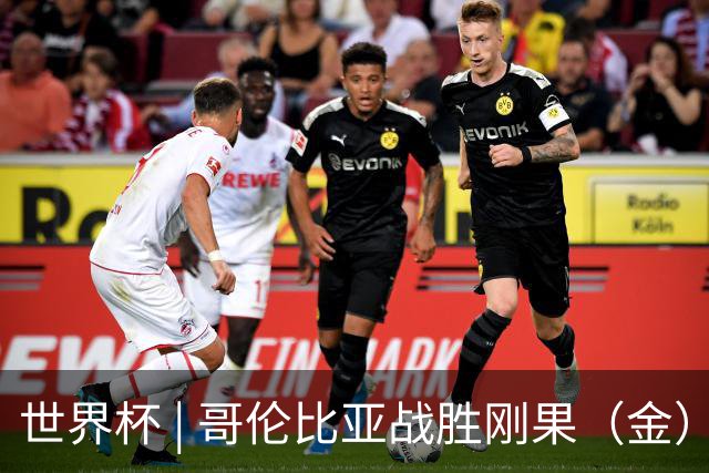 世界杯 | 哥伦比亚战胜刚果（金）提前晋级淘汰赛