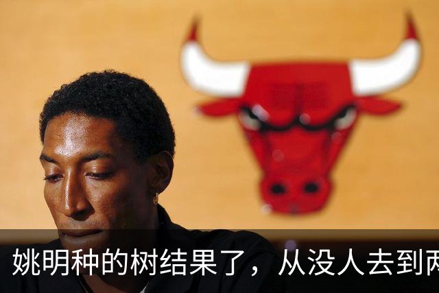 姚明种的树结果了，从没人去到两位数留洋，年轻人治好男篮老毛病