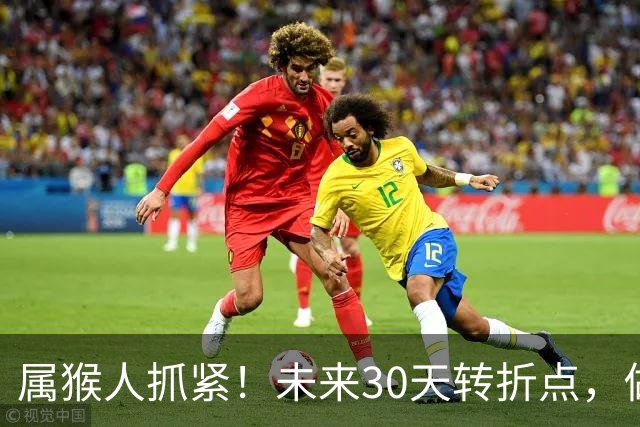 属猴人抓紧！未来30天转折点，做好这3件事，年底改善收入处境